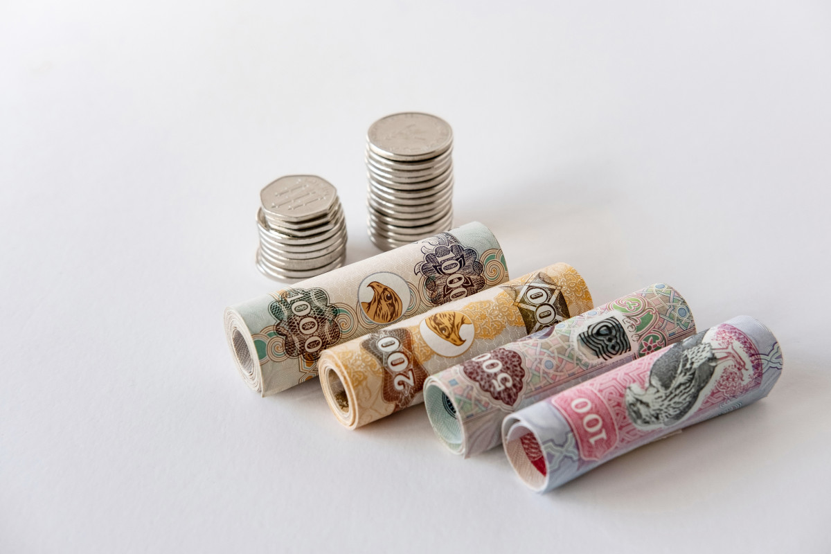 Wage Protection System (WPS)